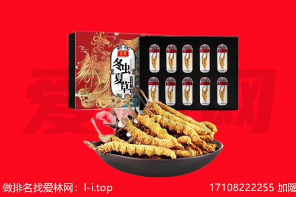 聊城市临清回收虫草.jpg